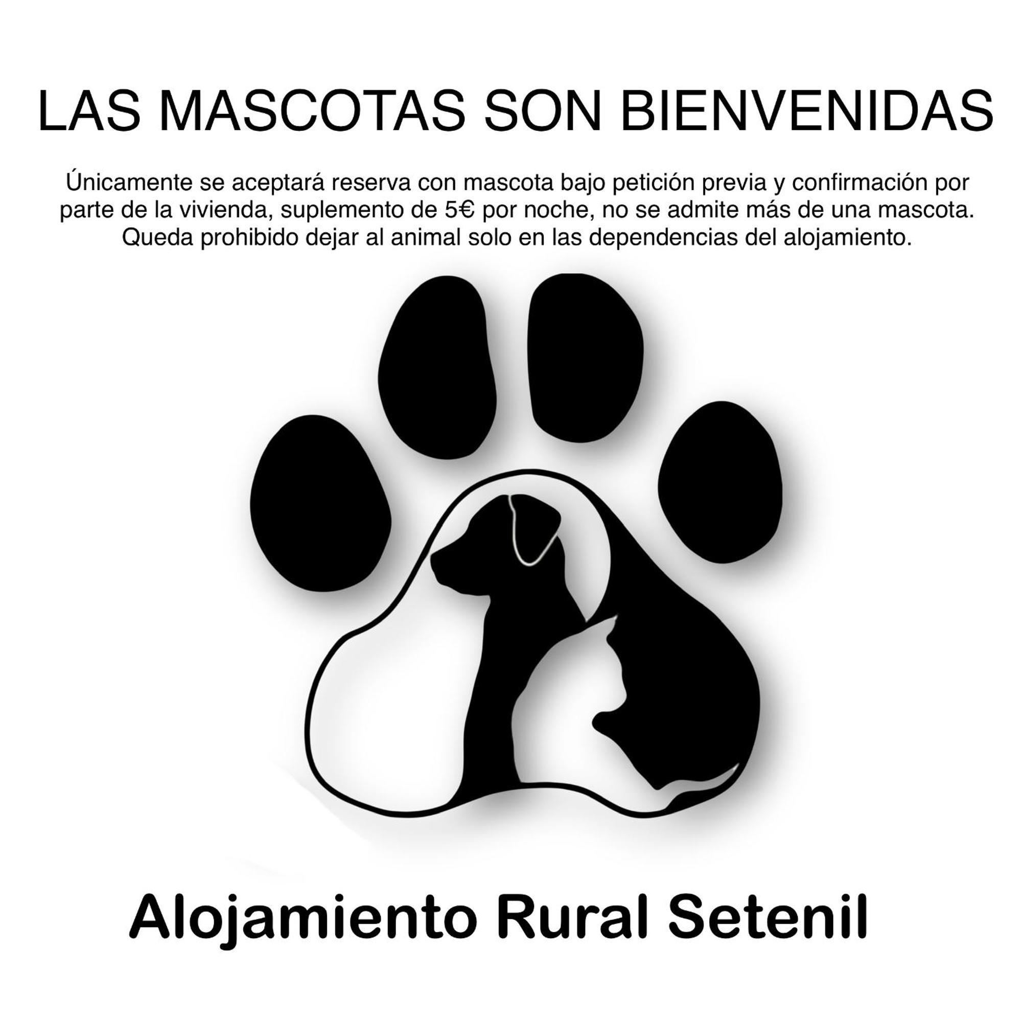 Alojamiento Rural Setenil Setenil De Las Bodegas Bagian luar foto